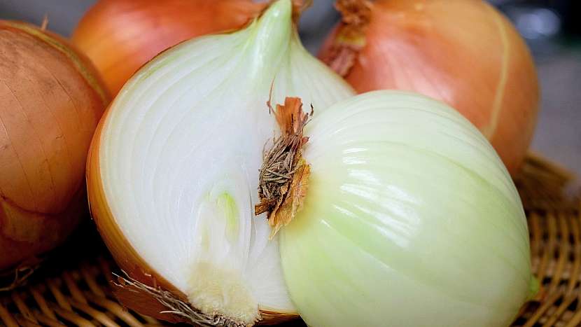 Rozkrojená cibule vyčistí vzduch od bakterií