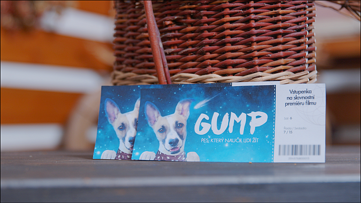 Vyhrajte dvě vstupenky na premiéru filmu GUMP - pes, který naučil lidi žít (Zdroj: Prima DOMA)