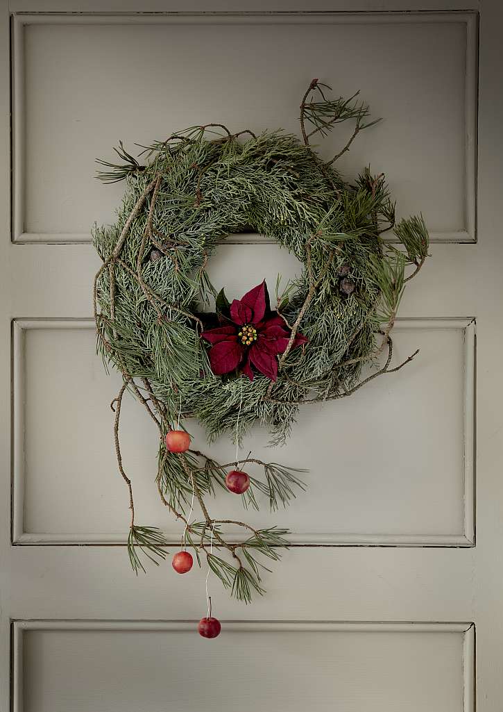 Cypřišový věnec zdobený dlouhými borovicovými větvemi se díky řezané červené vánoční hvězdě promění v krásnou vánoční výzdobu