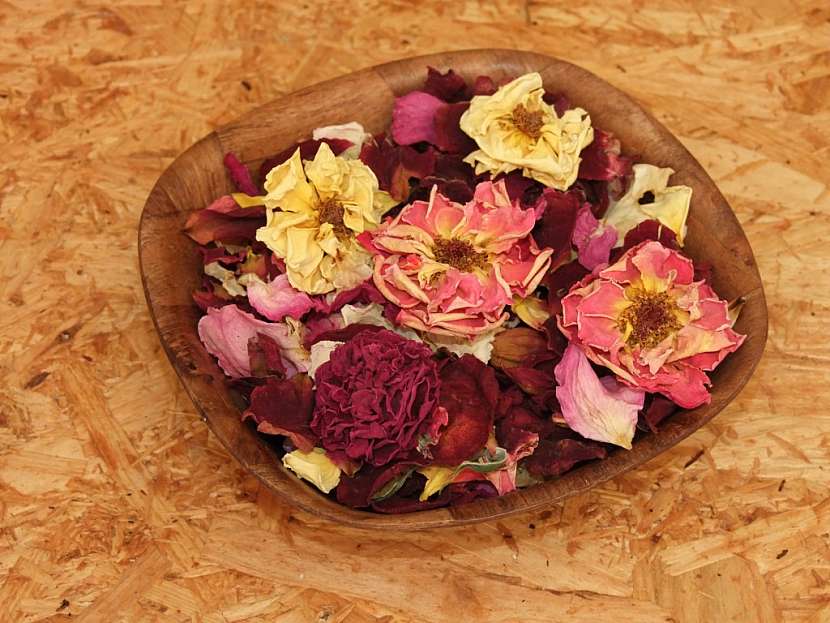 Potpourri