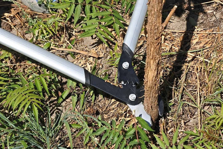 Nůžky s medvědí silou - Power Gear X od Fiskars
