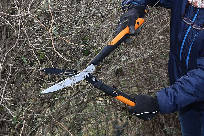 nůžky na živý plot