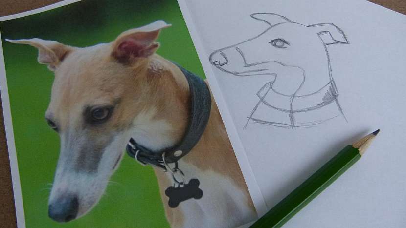 Vyšívaná brož z plsti podle fotografie rodinného mazlíčka: nakreslete předlohu