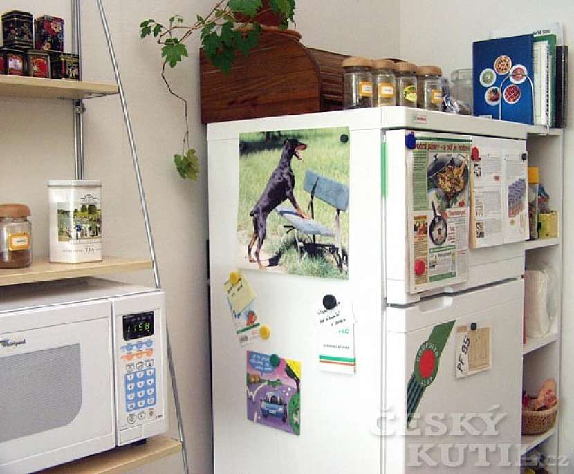 Nástěnky nejen pro školáky - tipy na výrobu nástěnky a fotogalerie