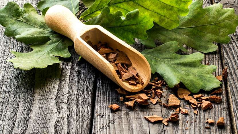 Dubová kůra (Cortex quercus) působí účinně proti nadměrnému pocení a odstraňuje nežádoucí pach nohou