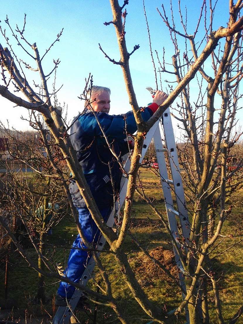 Zahrádkaření bez bolesti zad: Oblečení a obuv je základ