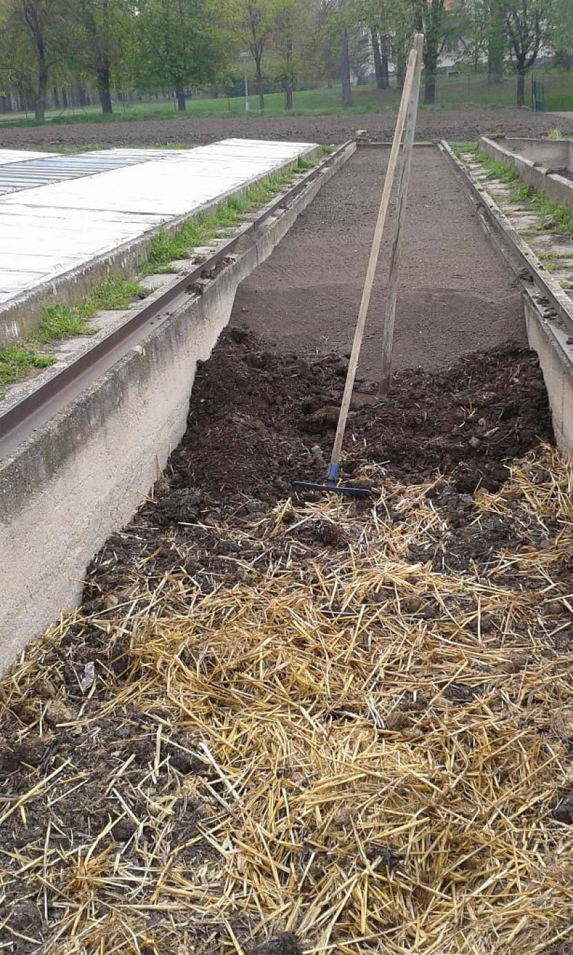 Hloubku volíme podle toho, zda plánujeme studené nebo teplé pařeniště