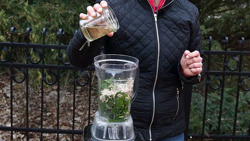 Recept na domácí pesto z česneku medvědího: listy rozmixujeme s olejem a semínky