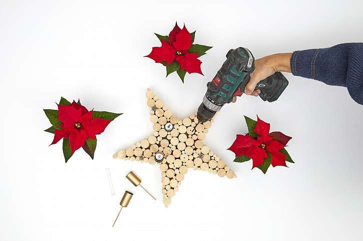 Nakonec naplňte zkumavky vodou a vložte do nich řezané stonky vánočních hvězd