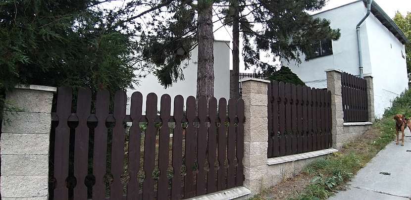 Plot