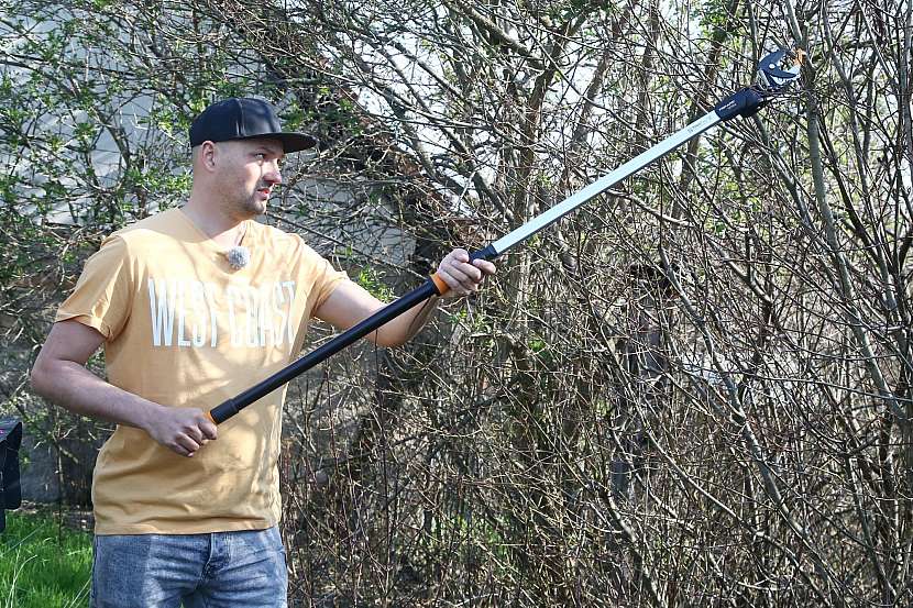 prořez stromů