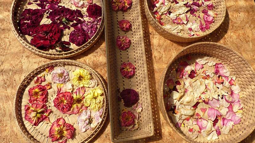 Potpourri 2