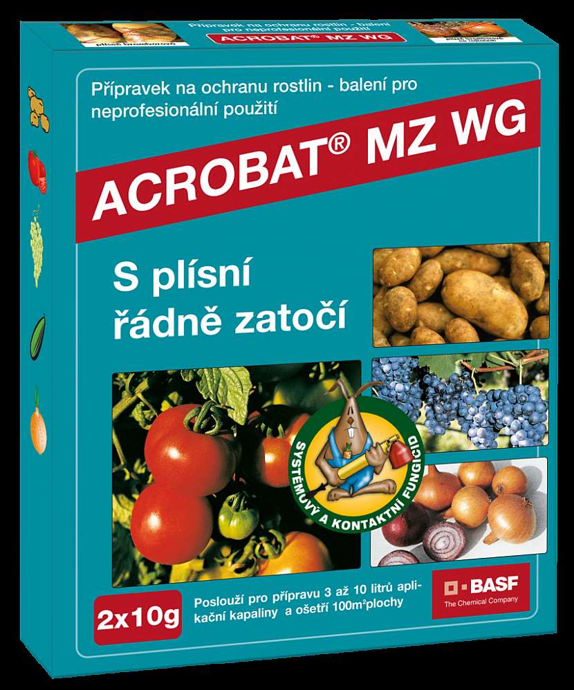 Plíseň okurková