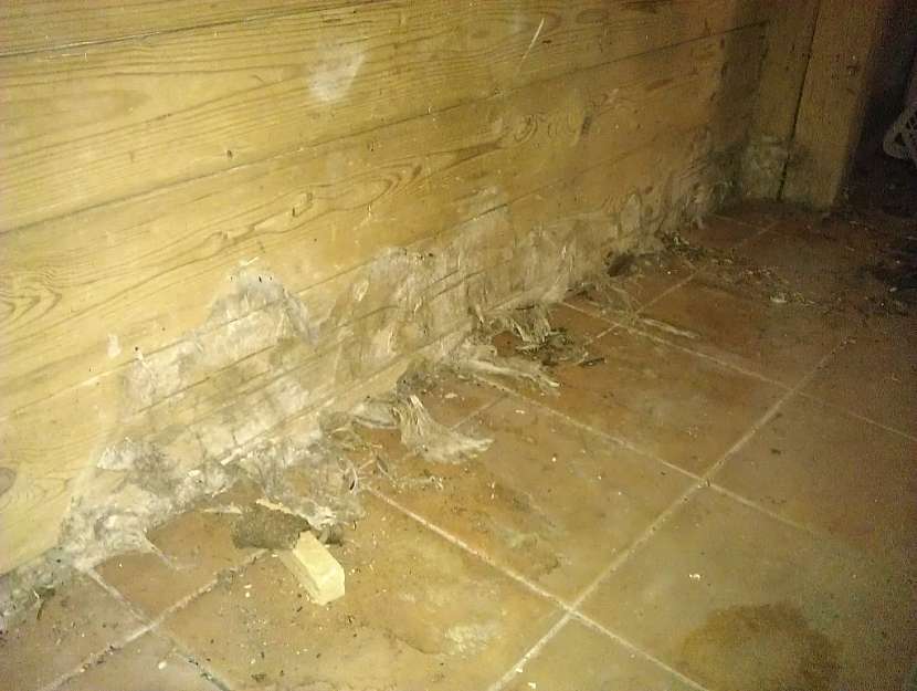 Ve své praxi se inspektoři setkávají nejčastěji s následujícími závadami: