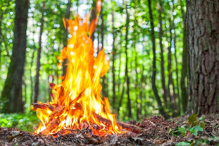 Rozdělat nechráněný oheň v lese může snad jen šílenec