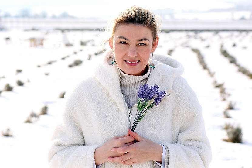 Helena Neumannova - Levandulove udoli pod snehem