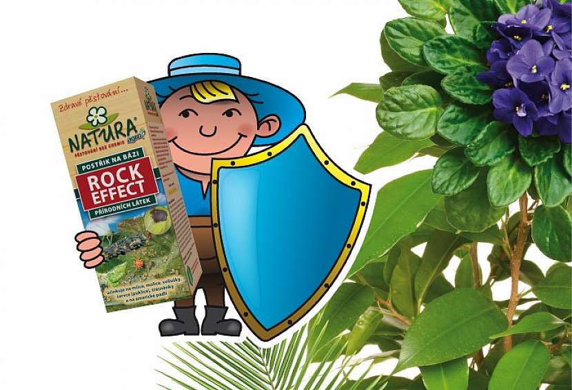 Čtvrtý krok: přírodní ochrana proti škůdcům