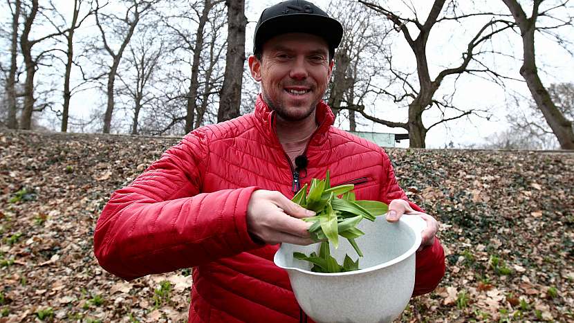 Na sběr vyrazil i Láďa Hruška s bylinkářkou Lenkou Navrátilovou, která mu prozradila recept na pesto z česneku medvědího