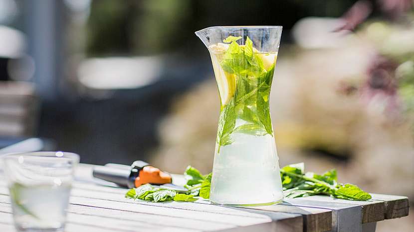 Domácí limonáda: stačí kvalitní sirup, perlivá voda a snítka máty