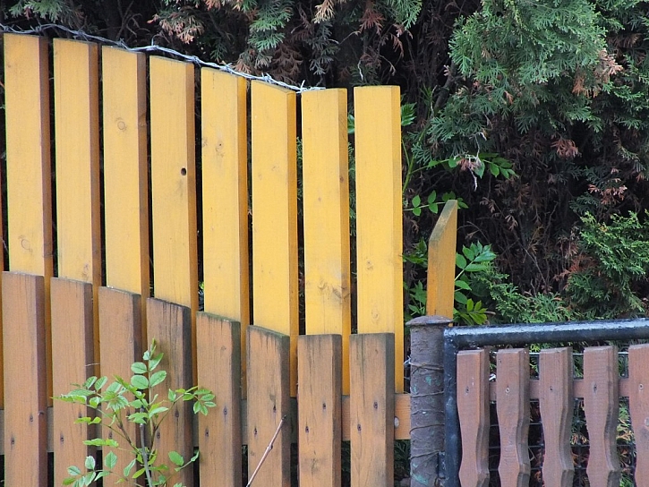 Antikutil - rostoucí plot s ostnatým drátem