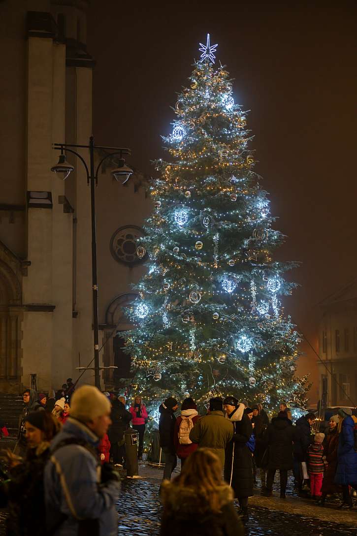 Vánoční strom v Kladně
