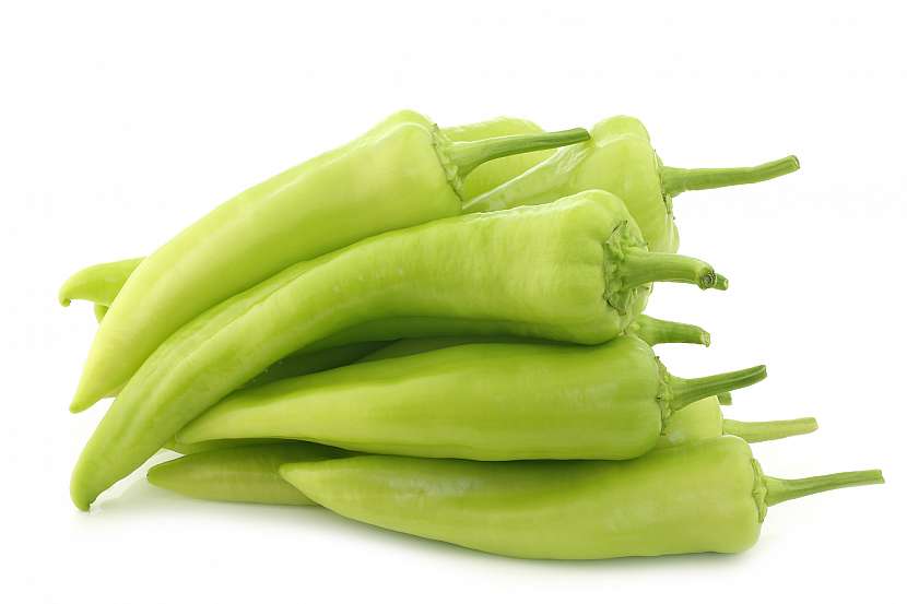 Bílá paprika