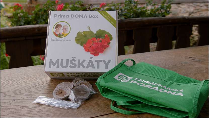 Vyhrajte Prima DOMA Box pro pěstování muškátů (Zdroj: Prima DOMA)
