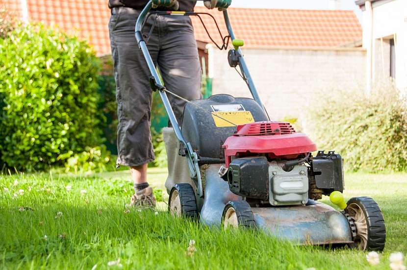Benzinové motory mají velkou sílu, ale také občas problémy s kvalitou paliva