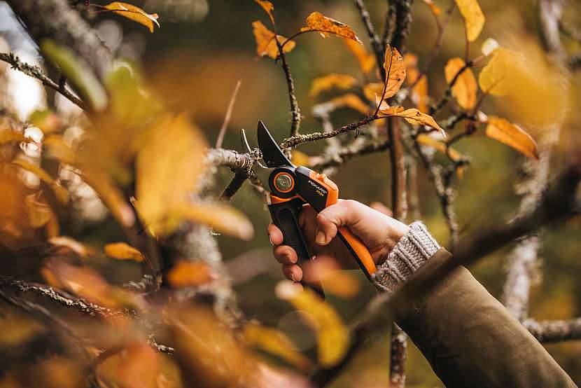 Fiskars_Garden_Action_PGX_Pruner_Bypass_L_PX94_1023628