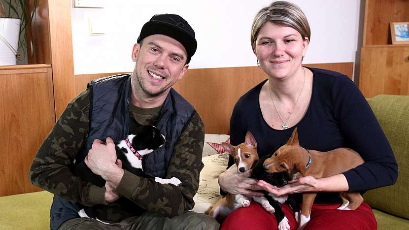 "Basenji neštěkají, ale rozhodně nejsou němí," říká chovatelka Miluše Novotná
