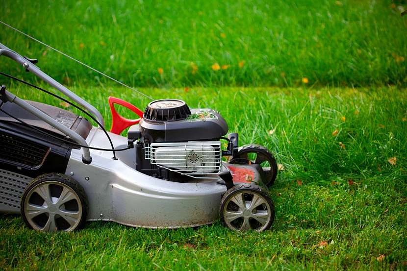 Horší kvalitu paliv lépe snáší starší stroje s jednoduchými motory