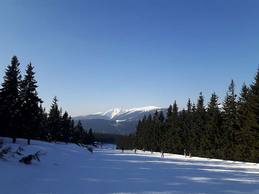 Zasněžená krajina