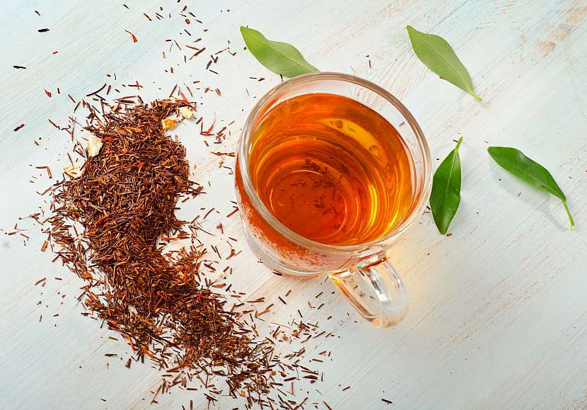 Rooibos