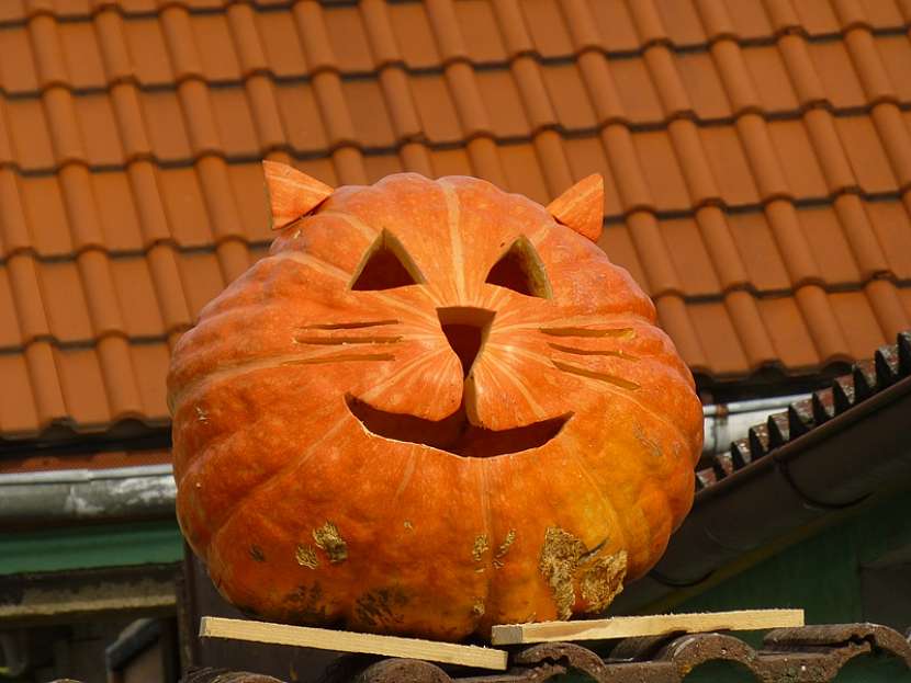 Dýňoví strašáci patří k podzimu