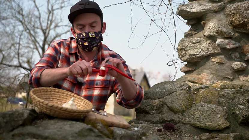 Vložte česnek do kovového lisu
