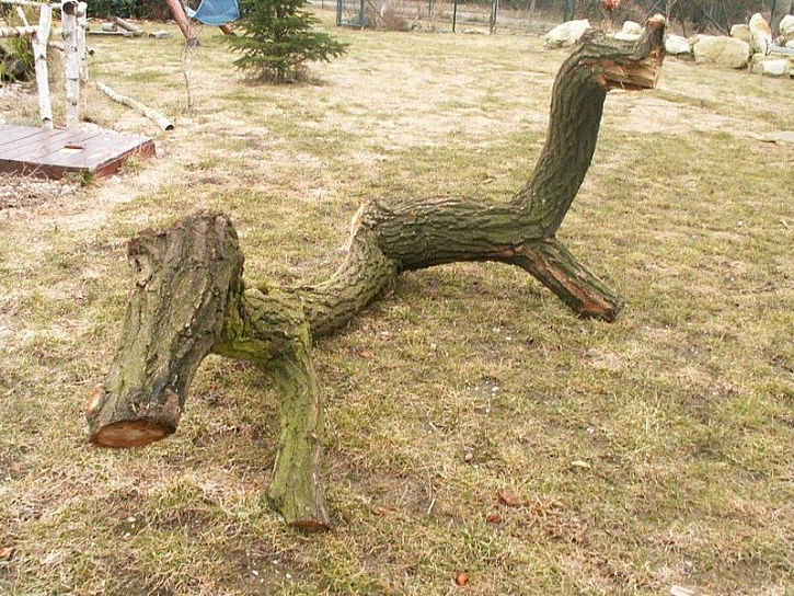 Nezahazujte velkou větev z pokáceného stromu. Vyrobte si z ní zahradní lavici podle jednoduchého návodu.