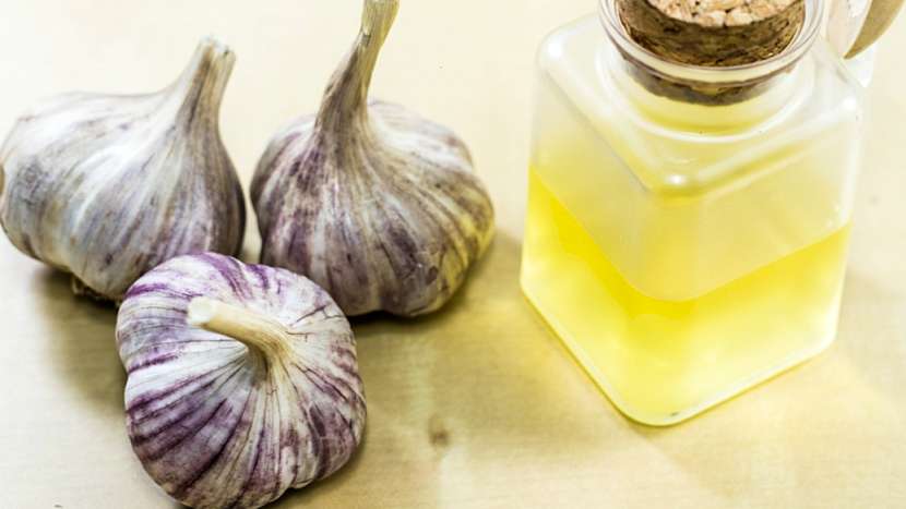 Česnekový sirup pomáhá při nachlazení