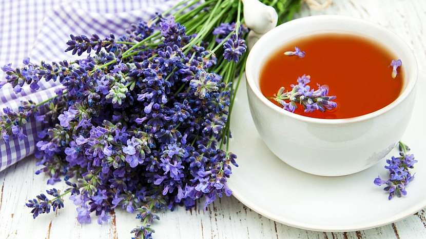Levandule lékařská (Lavandula angustifolia): vlažný levandulový nálev mj. zmírňuje svalové křeče