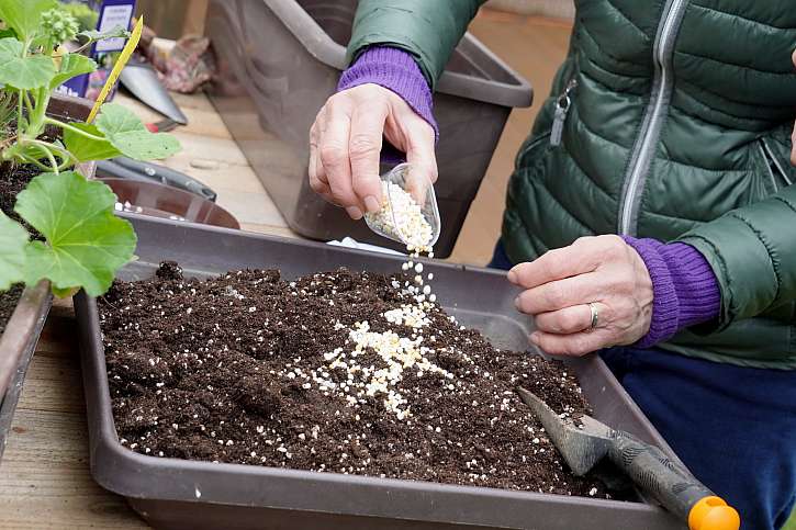 Hnojivo rozsypejte po povrchu a zapravte do substrátu
