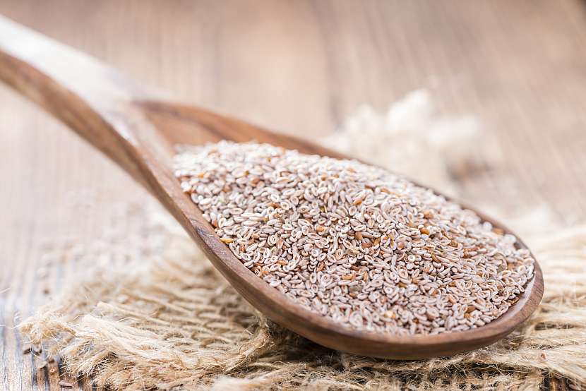 Psyllium