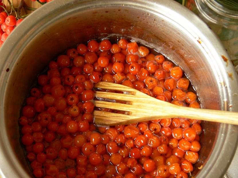 Recept na kompot, džem a víno z jeřabin