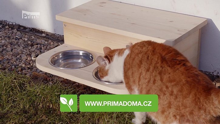 Vyrobte své kočičce stojánek na mističky (Zdroj: Kočičí stojánek na misky)