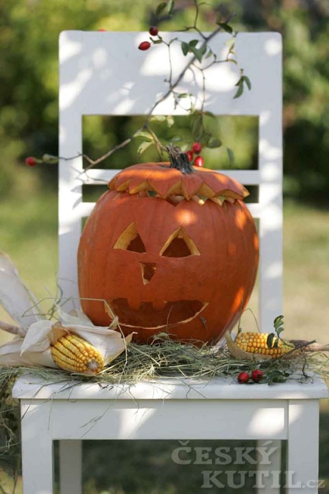 Dýně zdobí, nestraší – tipy na podzimní dekorace s dýní