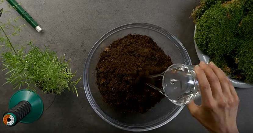 Kokedama z asparágusu: připravte substrát