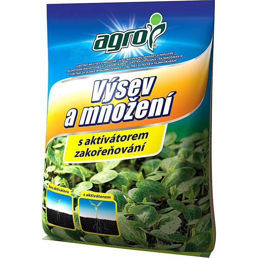 Jak na zeleninu v lednu?