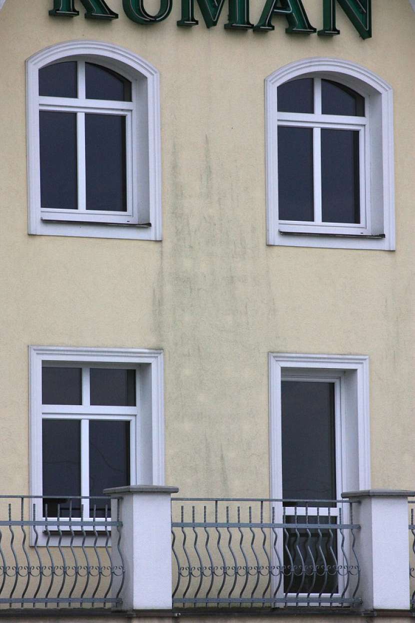 Biotické napadení