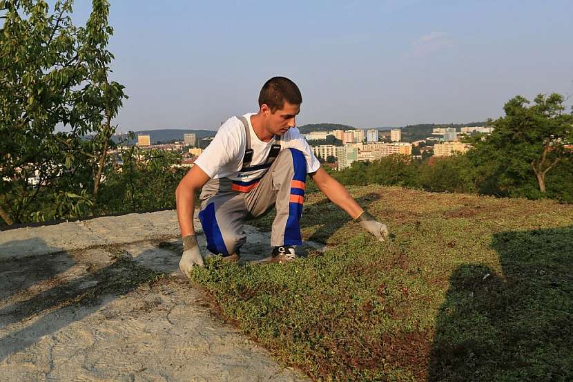 Modelový příklad