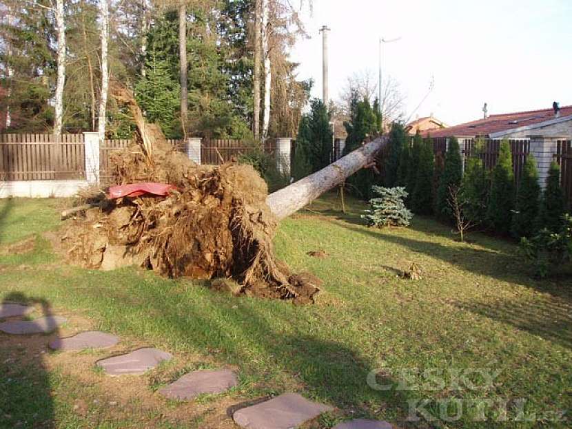 Každá koruna dobrá, v době léčby úrazu zvlášť