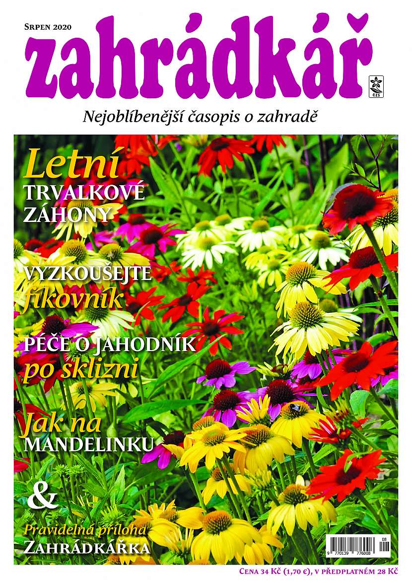 Zahradkar_srpen