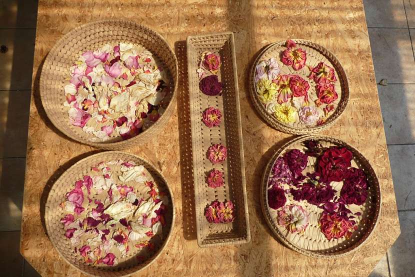 Potpourri